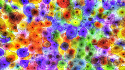 Jellyfish Varieties with Venomous Stings